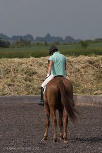 ISIS Dressage Challenge 2008